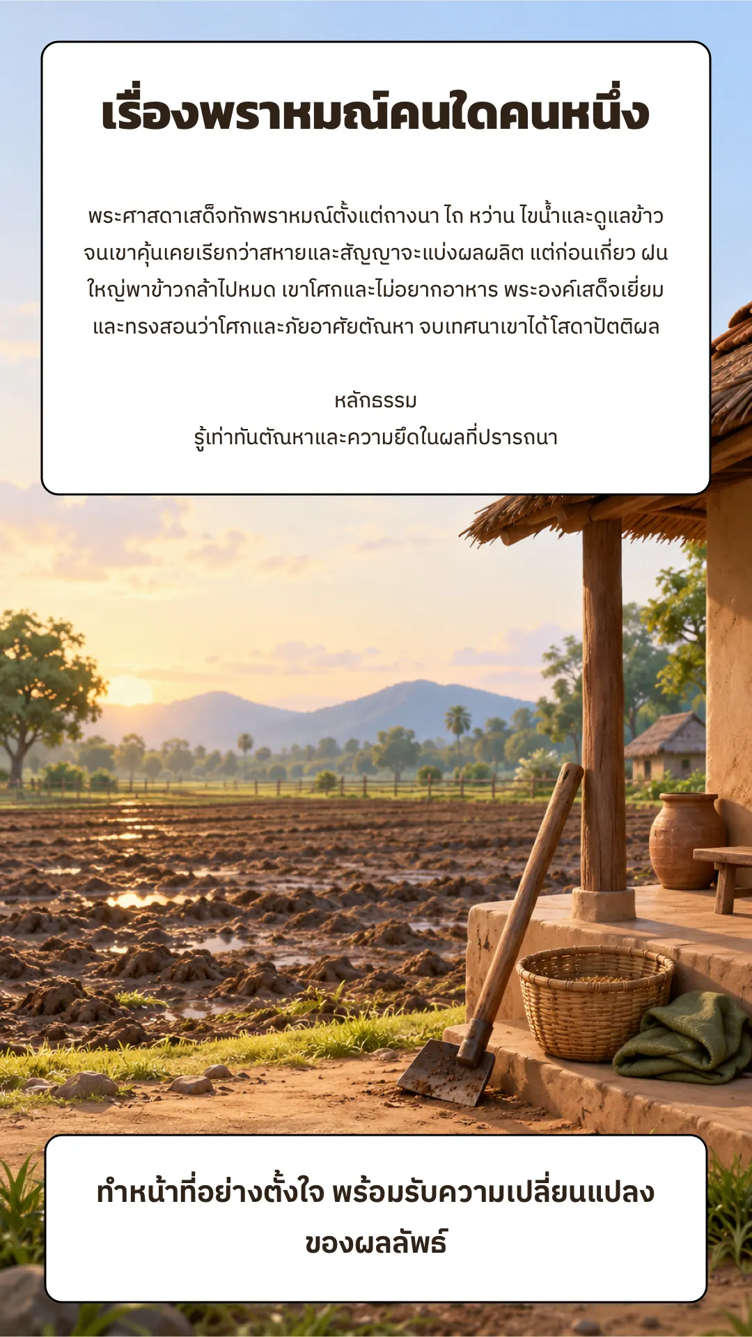 เรื่องพราหมณ์คนใดคนหนึ่ง ปกหลัง