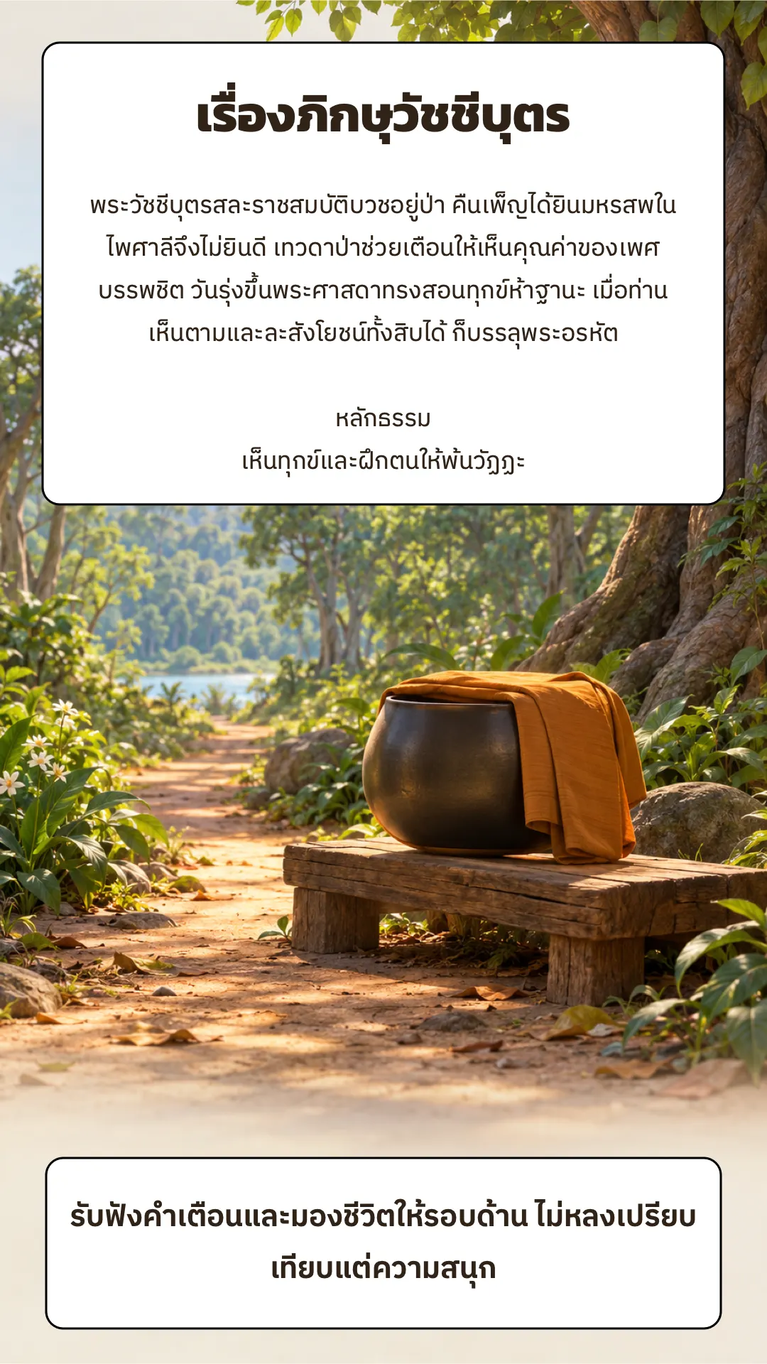 ภิกษุวัชชีบุตร ปกหลัง