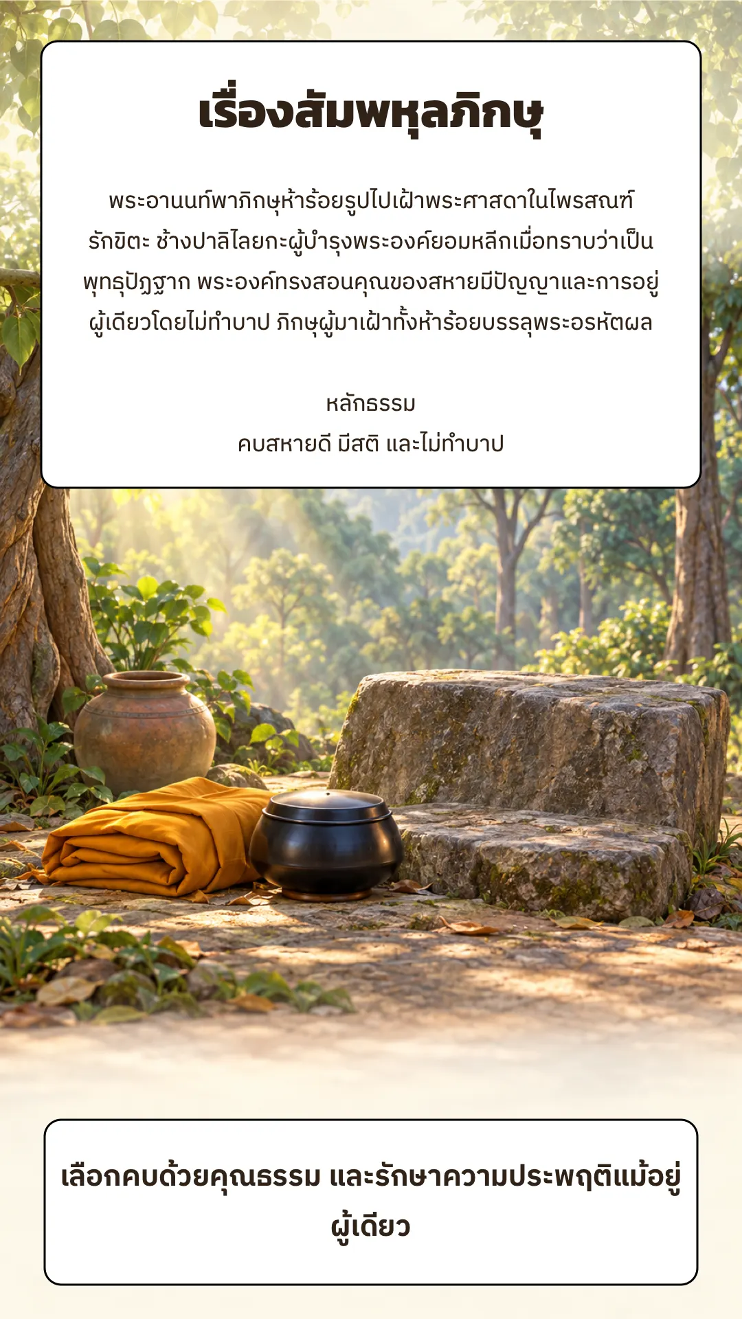 สัมพหุลภิกษุ ปกหลัง