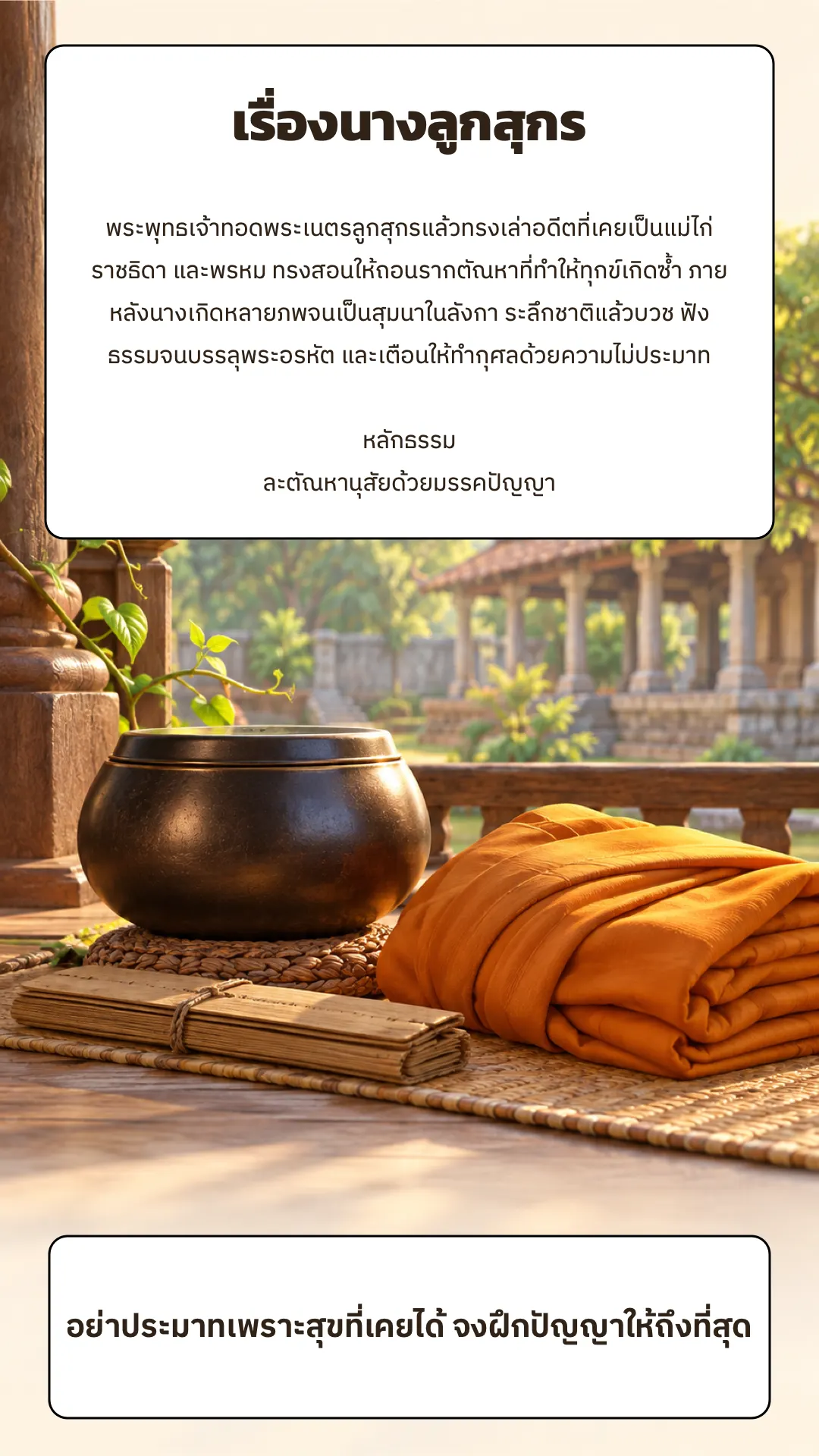 นางลูกสุกร ปกหลัง