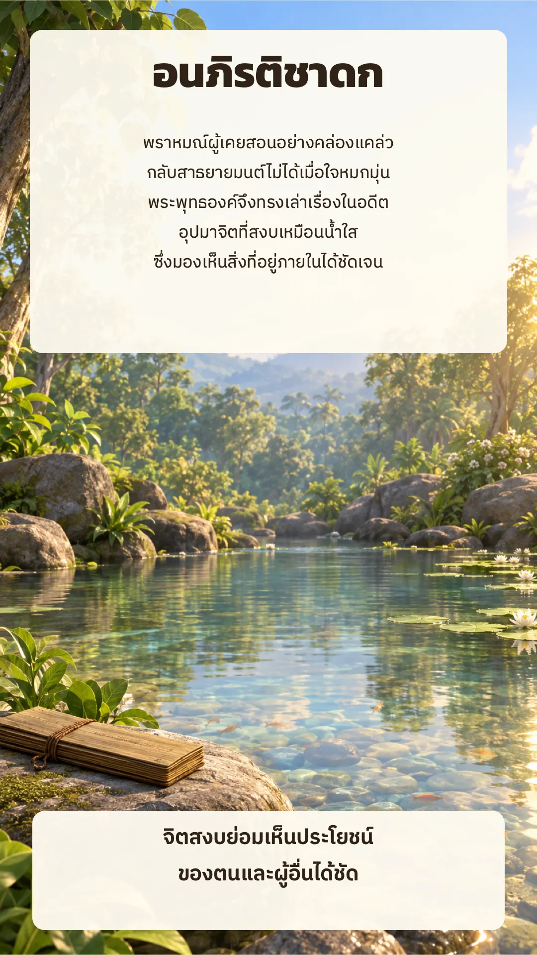 อนภิรติชาดก ปกหลัง