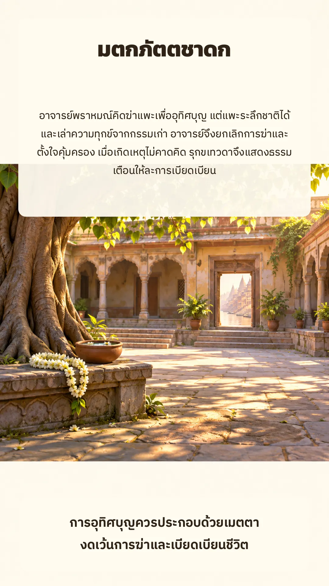 มตกภัตตชาดก ปกหลัง