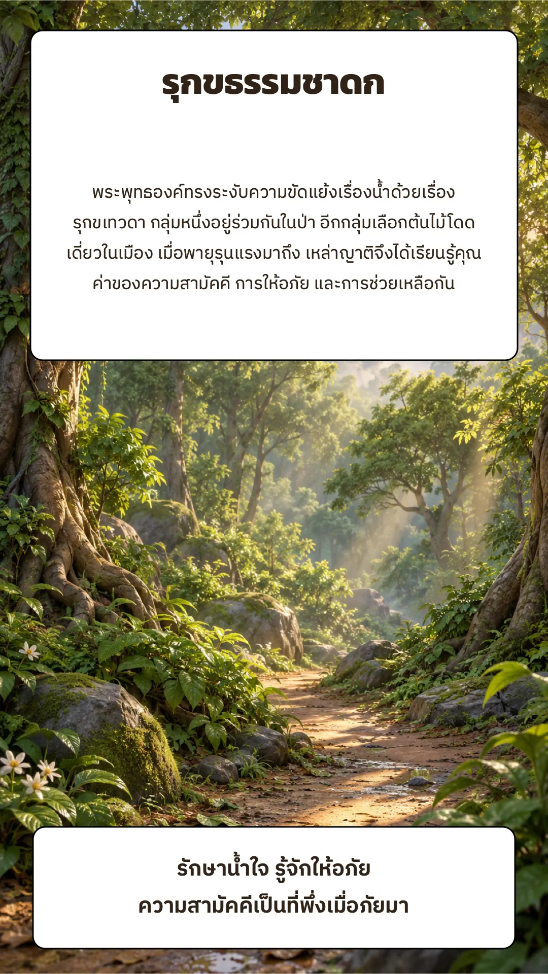 รุกขธรรมชาดก ปกหลัง