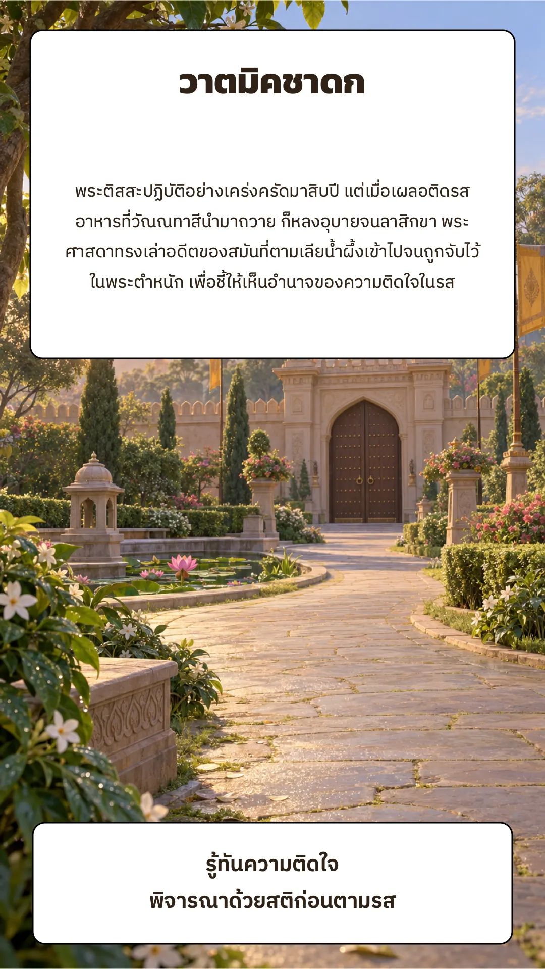 วาตมิคชาดก ปกหลัง