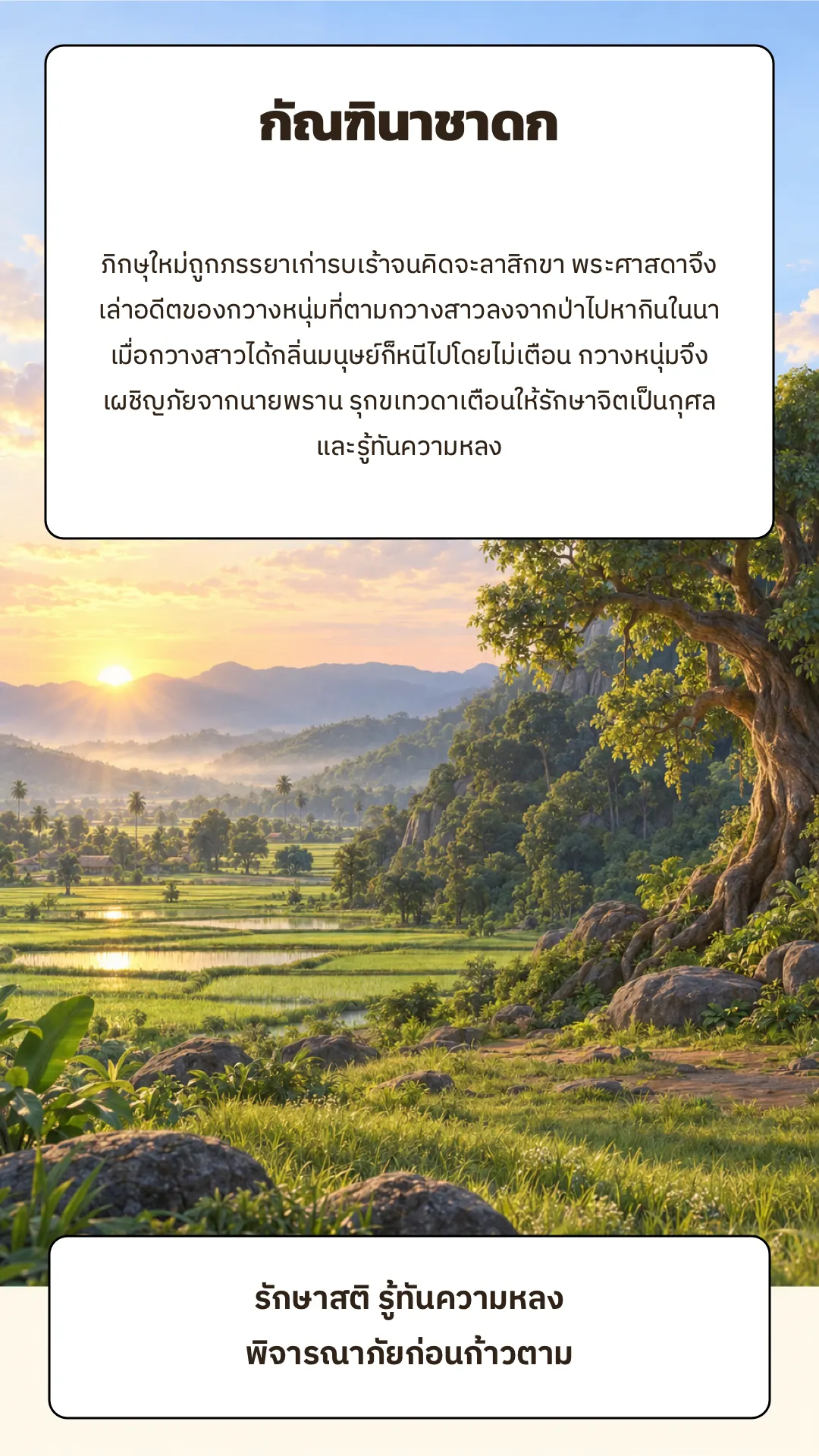 กัณฑินาชาดก ปกหลัง