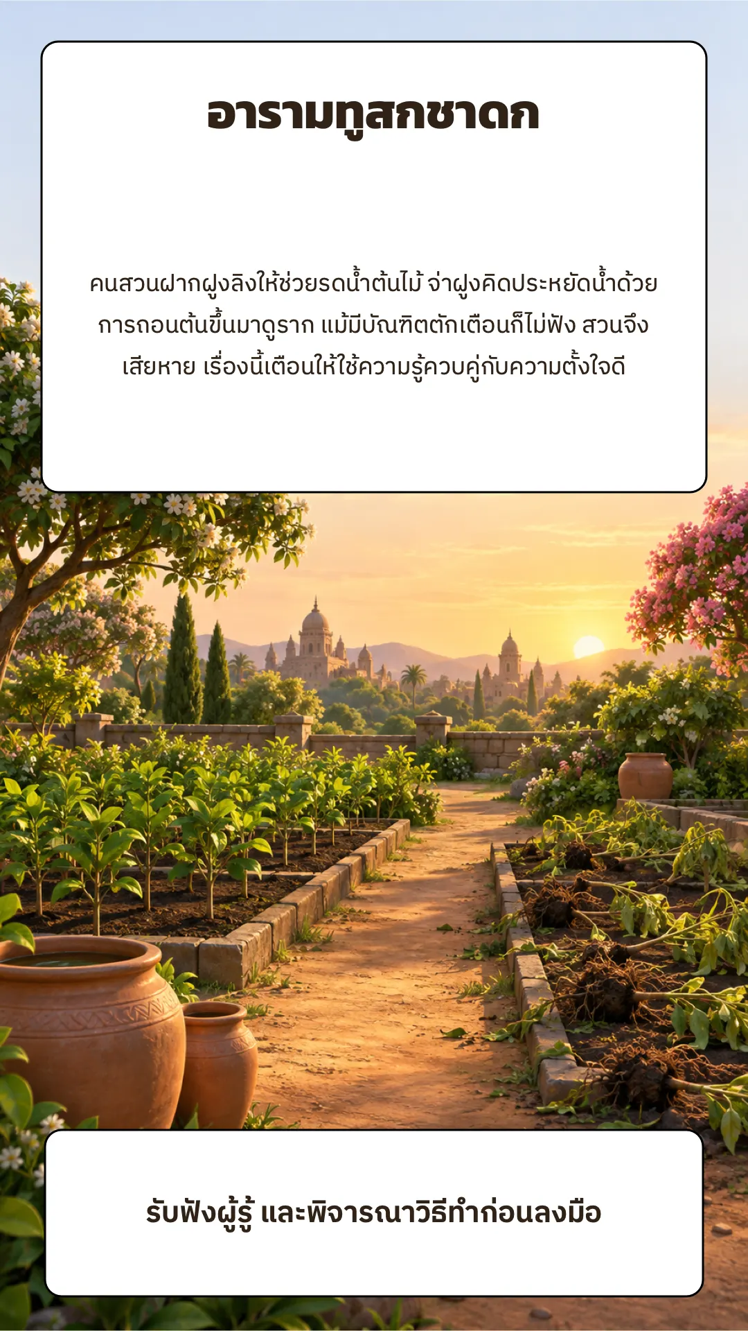 อารามทูสกชาดก ปกหลัง