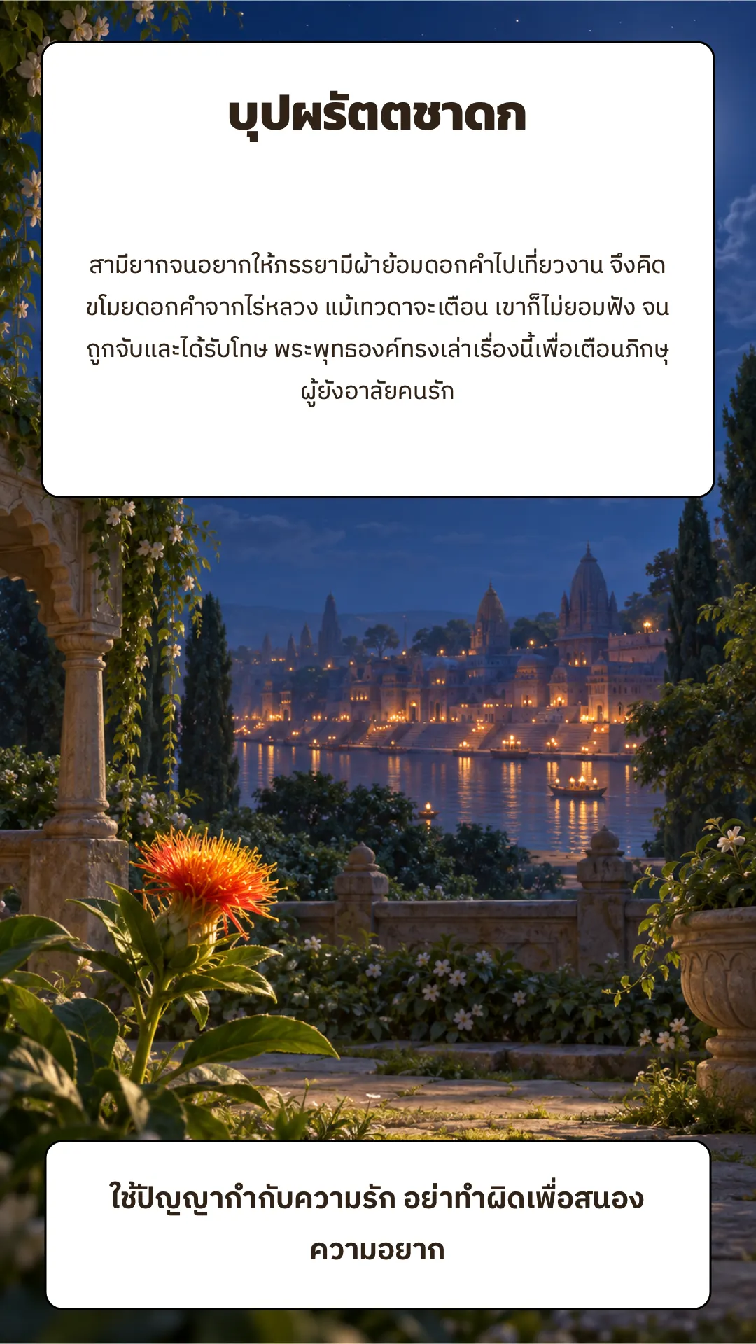 บุปผรัตตชาดก ปกหลัง