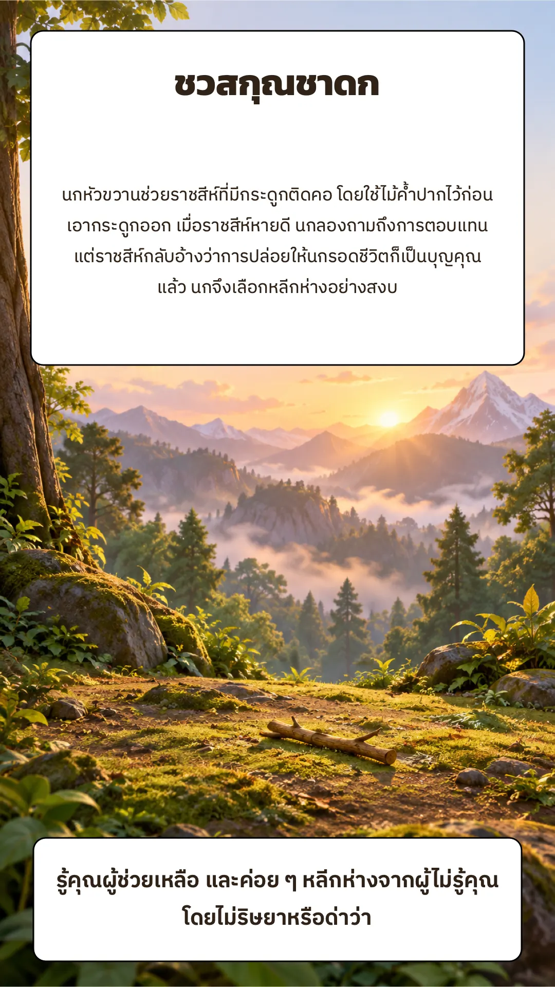 ชวสกุณชาดก ปกหลัง