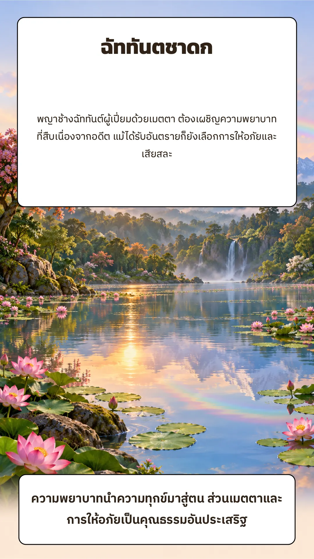 ฉัททันตชาดก ปกหลัง