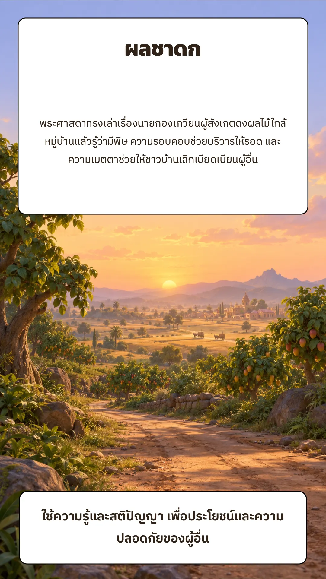 ผลชาดก ปกหลัง