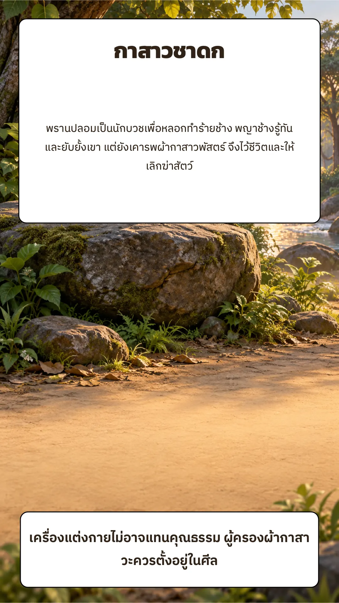 กาสาวชาดก ปกหลัง