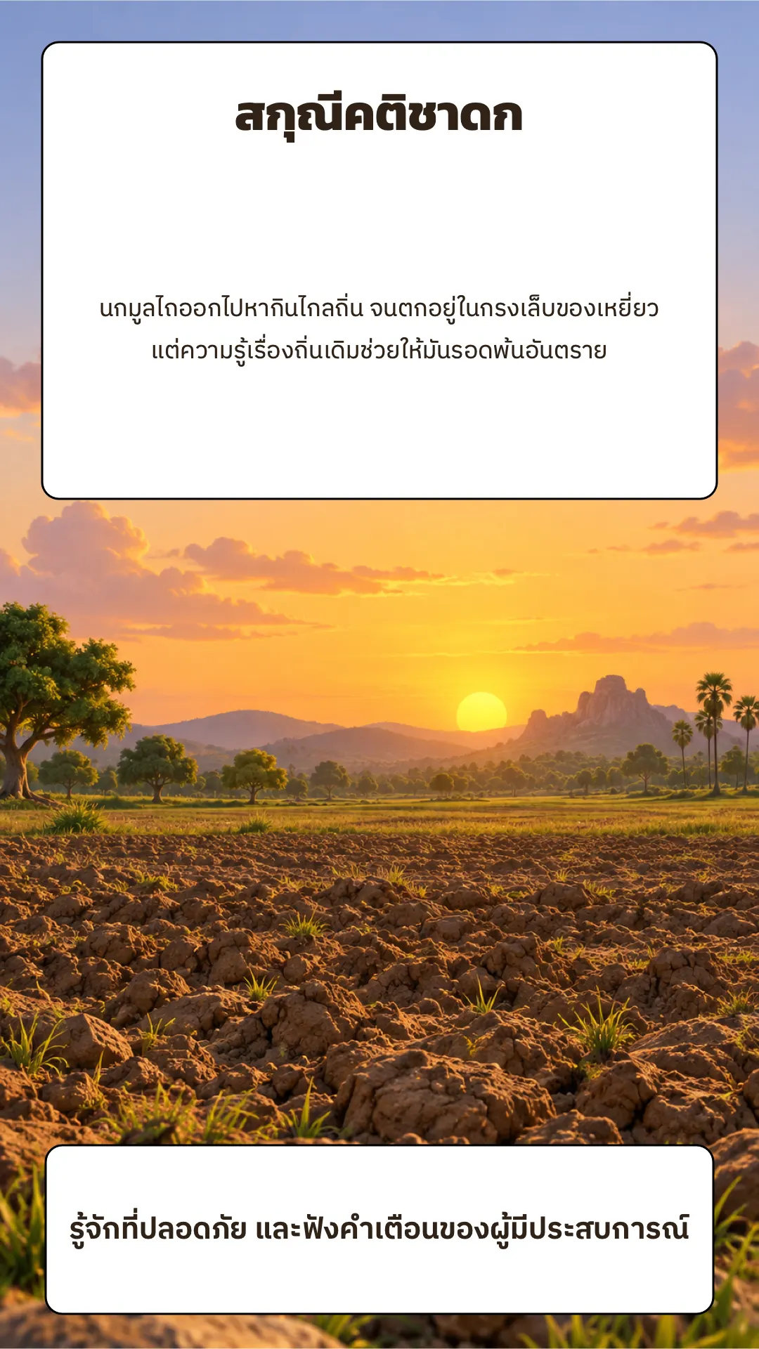 สกุณีคติชาดก ปกหลัง