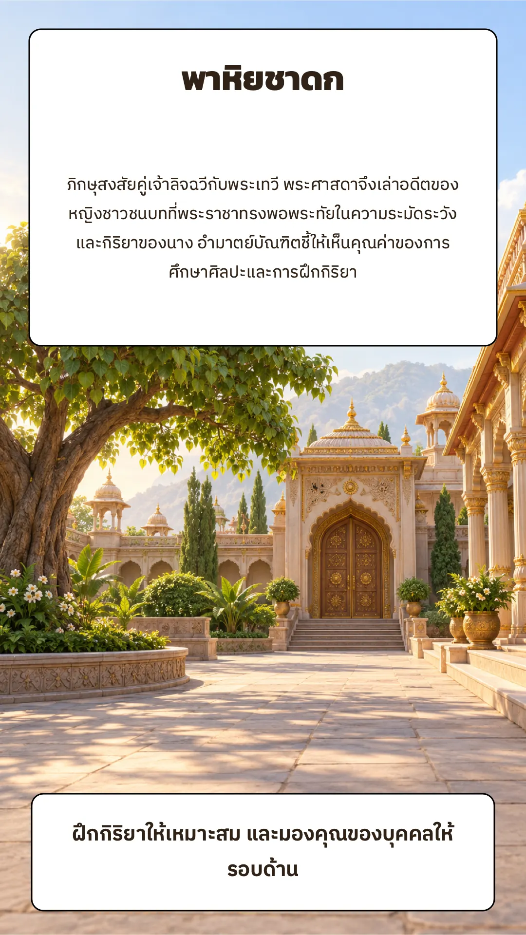 พาหิยชาดก ปกหลัง