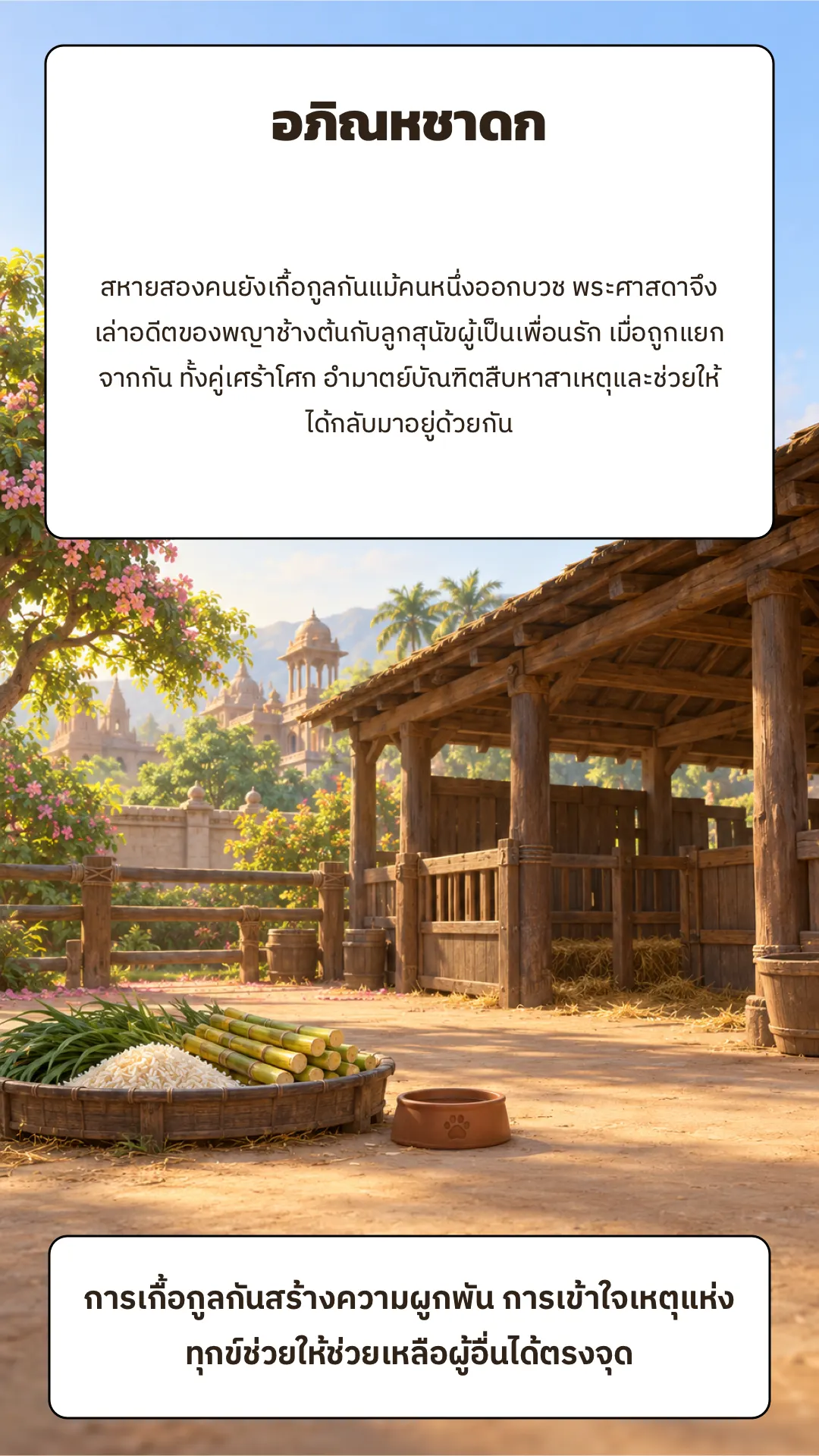 อภิณหชาดก ปกหลัง